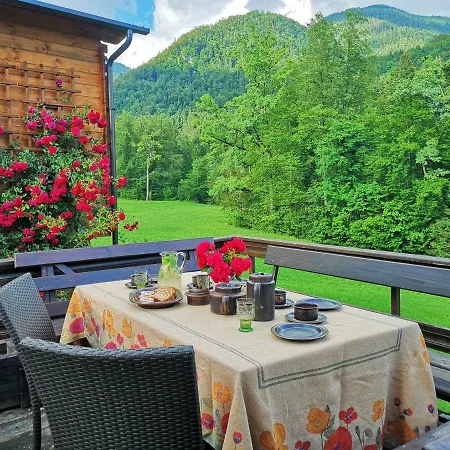 House Red Deer * Preddvor